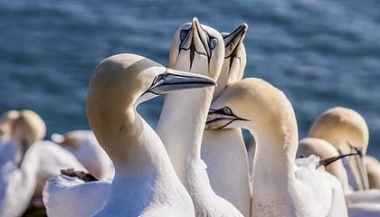 开云·体育全站登录地址-球迷对国足失利表达不满，球迷对国足的评价