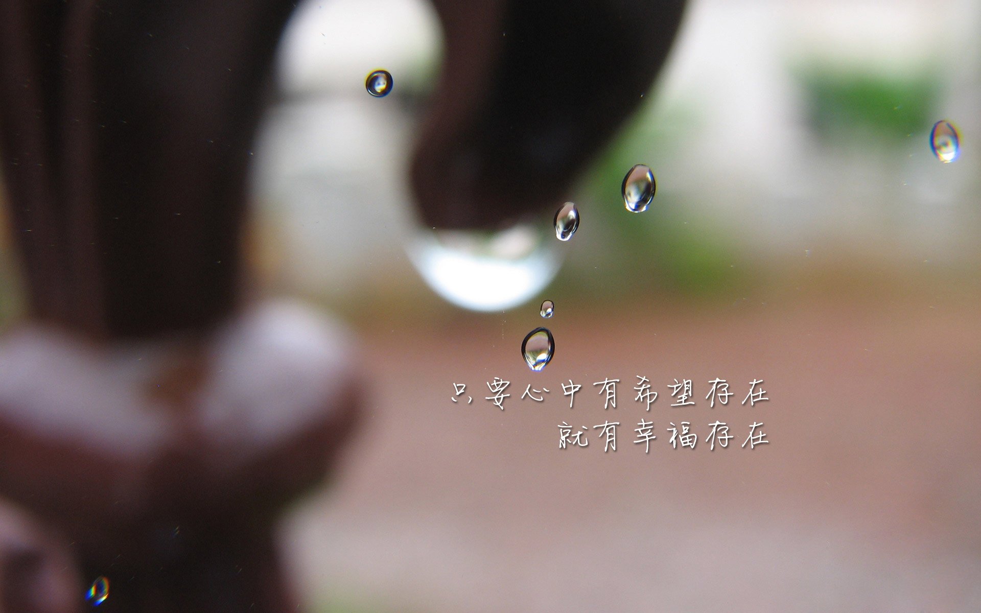 全国青少年足球交流会商会定期举行，促进合作共赢，全国青少年足球示范学校