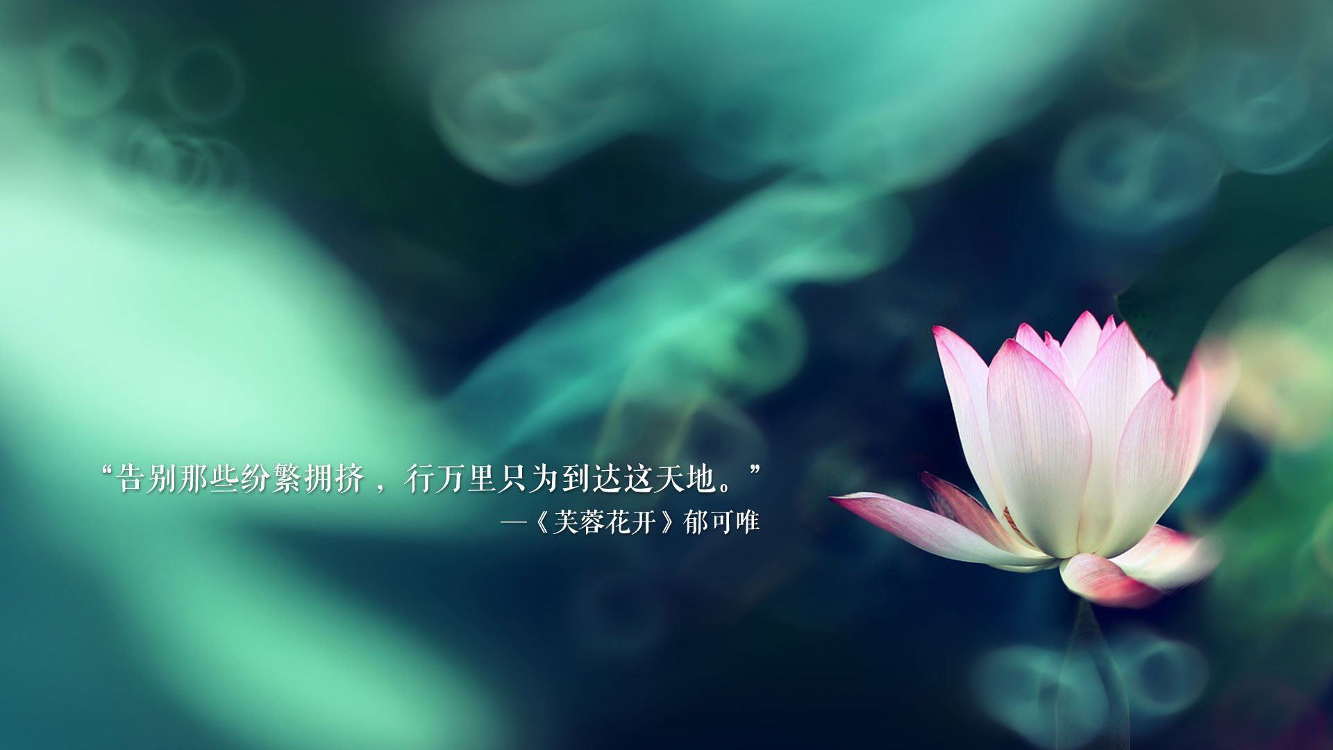 洛杉矶湖人开启“新战术”模式，冲击季后赛佳绩，洛杉矶湖人队新闻