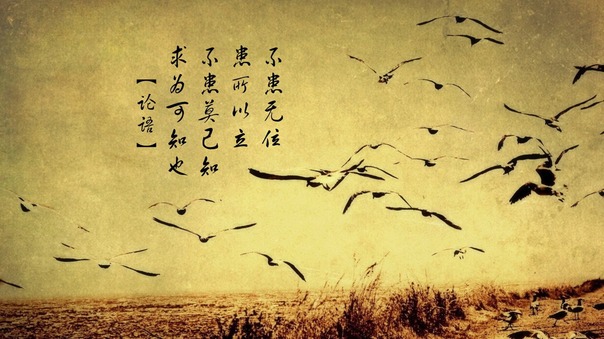 瑞士男足在巴黎奥运会比赛中获得银牌，创历史，瑞士男足世界排名