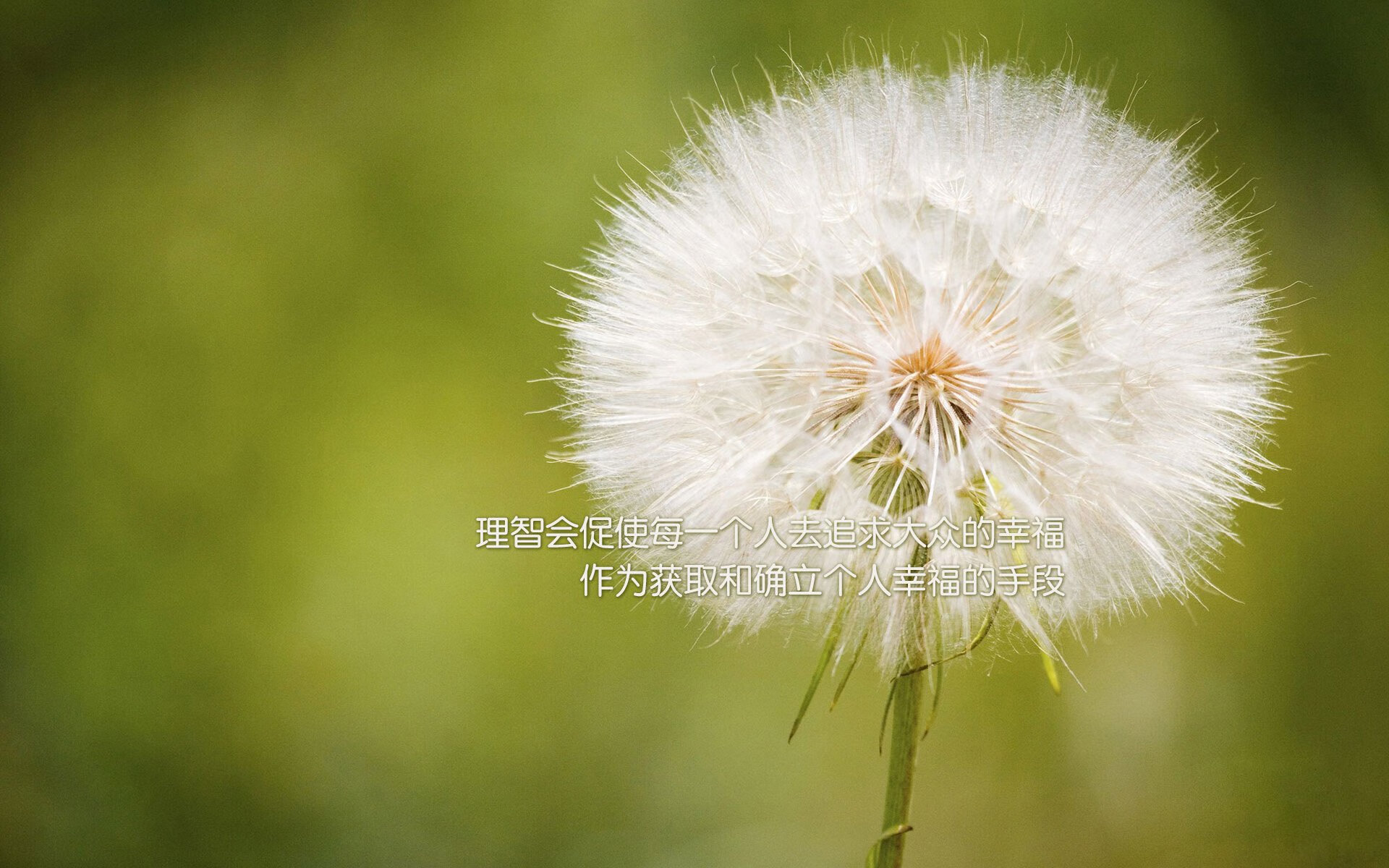 江苏肯帝亚队力克对手，决战获胜加冕，江苏肯帝亚2021引援