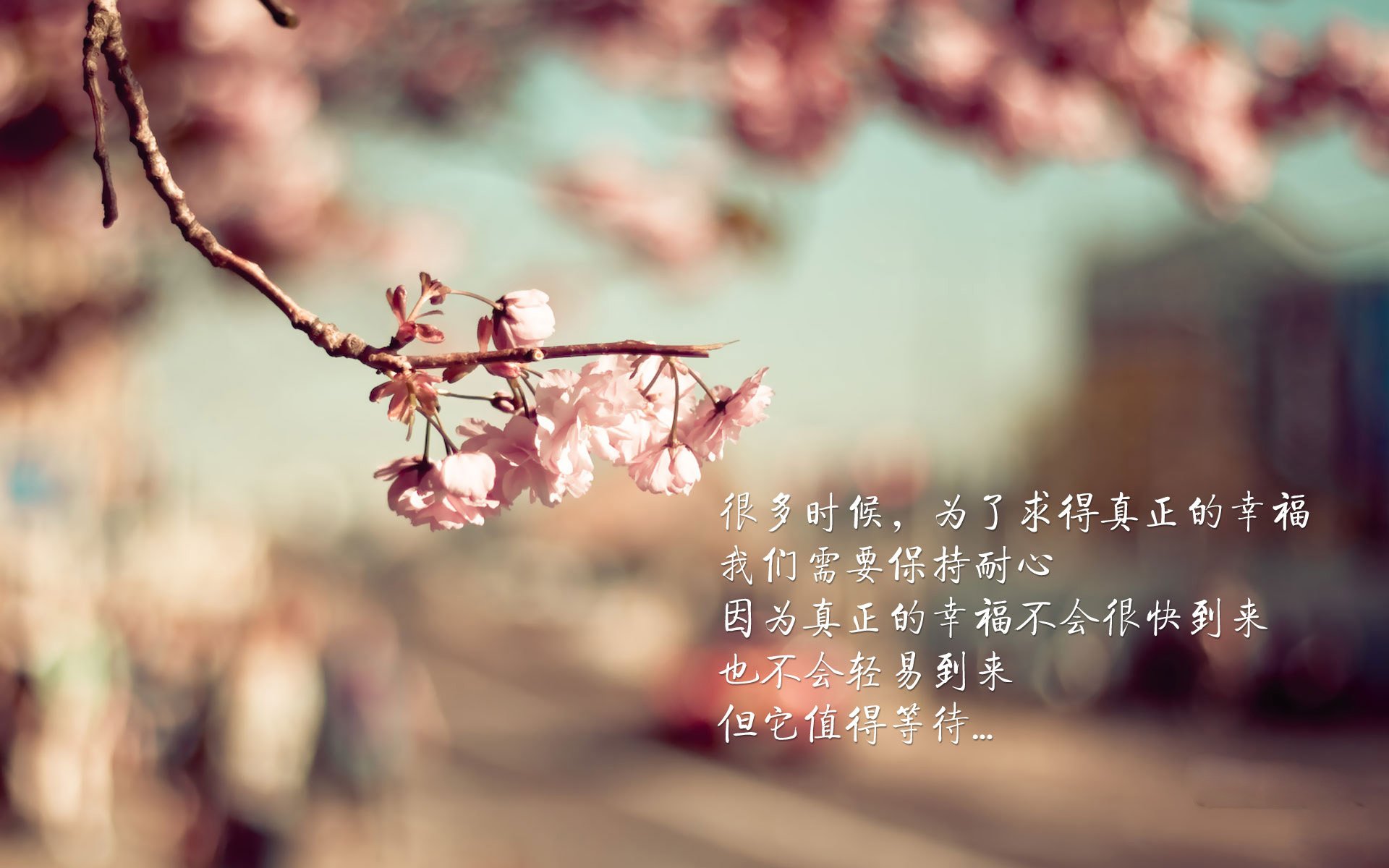 难舍难分！双方实力相当，比赛进入白热化阶段，比赛白热化什么意思