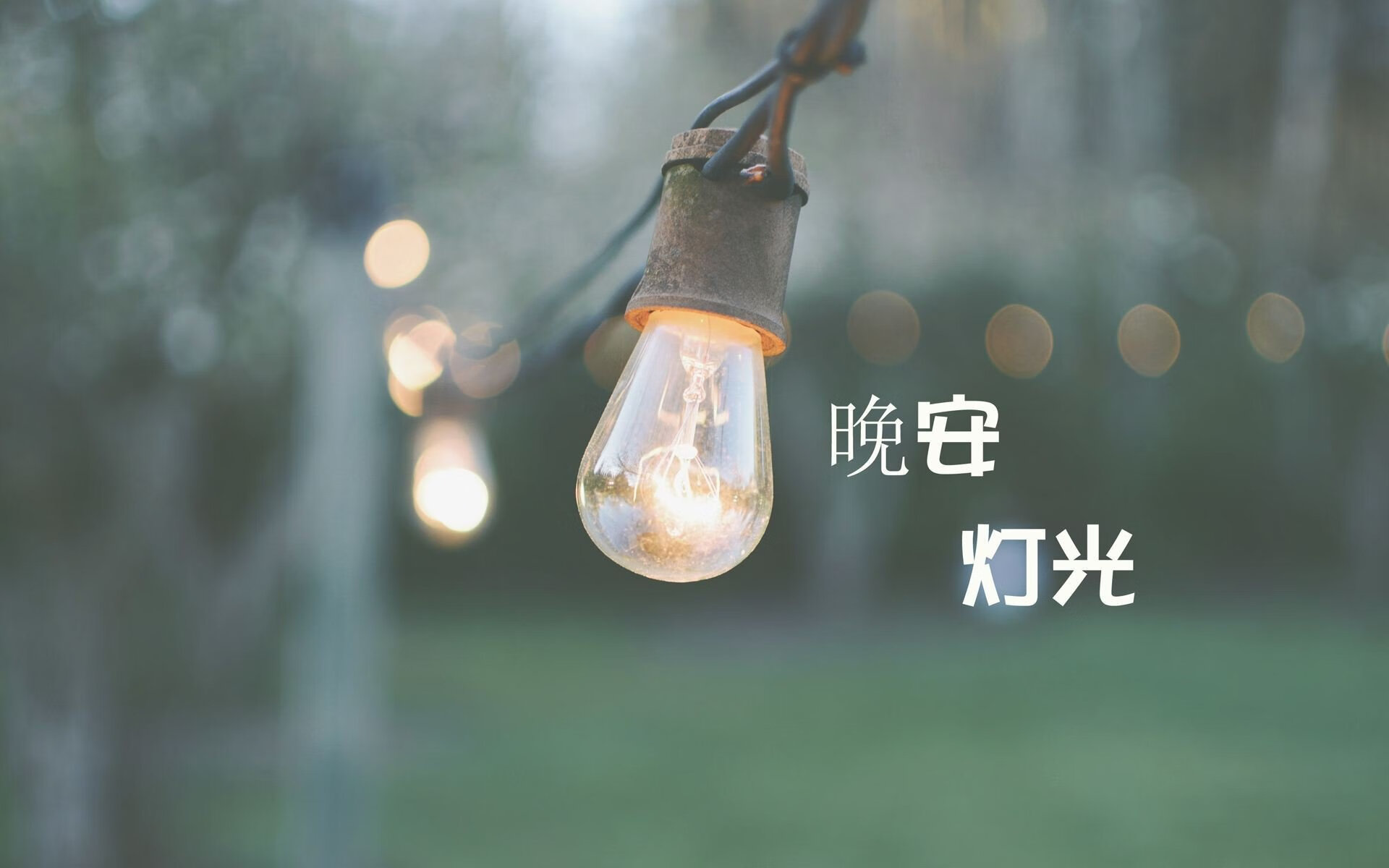 专访孙杨 从低谷中重新出发，专访孙杨 从低谷中重新出发的节目